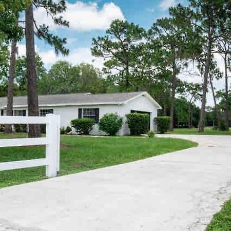 3Bdr2Bath Home In Lutz Close To Tampa, 20 Min To Stadium, Airport Екстериор снимка