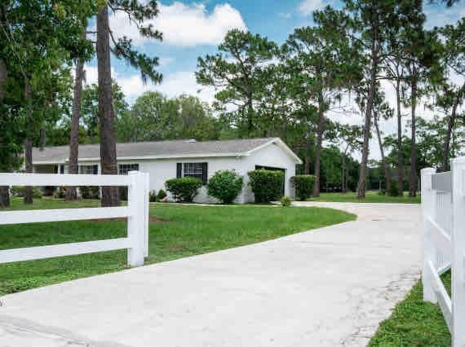 3Bdr2Bath Home In Lutz Close To Tampa, 20 Min To Stadium, Airport Екстериор снимка